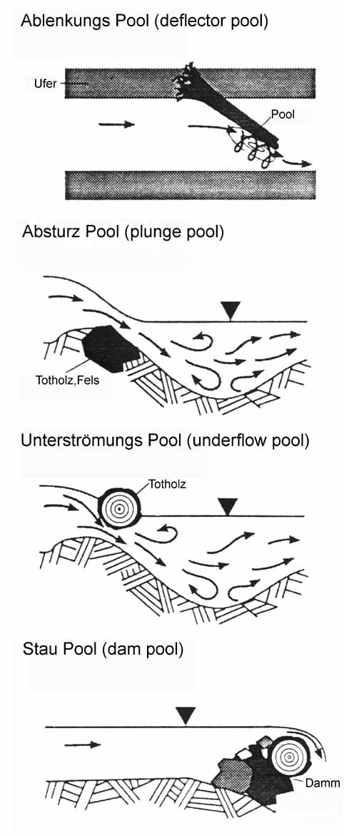 Pool-Typen Klassifikation